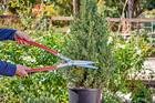 Corona Tools Precisioncut Aluminum Hedge Shear     Lightweight Hedge Clippers For