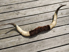 Vintage 35   Longhorn Steer Horns Wall Mount Watusi Cowboy Western Decor Bull