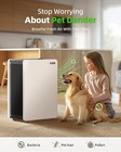 Luftrum Ac400 Air Purifiers For Home Large Room Up To 3522 Sq Ft