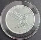 2015 Canada 5 Dollar   9999 1 Oz Ag  Birds Of Prey  Red Tailedhawk In Capaule