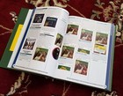 Beach Boys Us Record Price Guide   Near 500 Pages  Over 2000 Pics  4600 Listings