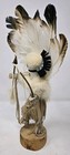 Navajo Kachina Katsina Doll Zuni Rain Priest Native American Freida Charley Sign