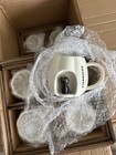 Starbucks Pumpkin Window Black Cat Mug Europe Exclusive Halloween Collection New