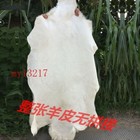 In Us 100  Genuine Sheepskin Fluffy Fur Rug 60 120cm Windward Natural Soft Mat