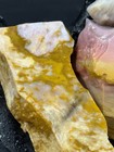 Oregon Sunset Jasper Rough