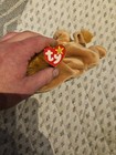 Ty Beanie Baby - Roary The Lion  8 Inch  - Mwmts Stuffed Animal Toy