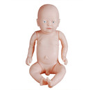 New Style Newborn Model  baby Model  Anatomical Human Model