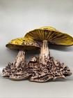 Vintage 1970s 1960s Mcm  Plastic Wall Hippie Decor Mushrooms 11   x15    Yellow 