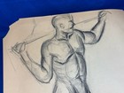 C 1950 Musculature Male Charcoal Sketch  Drawing 24  X 18 5  Unsigned
