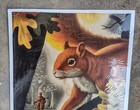 Original Vintage 1955 Western-winchester Lithograph Advertising Squirrel Poster