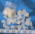   Fish Scales   40    Natural Creme   Ivory   Shellcraft   Sailor s Valentines  