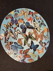 Vintage Springbok Jigsaw Puzzle A Burst Of Butterflies Circular Complete Pzl6601