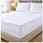 Zippered Mattress Encasement Bed Bug Proof Waterproof Mattress Cover Protector