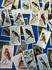 10 X Birds winged flying Animals Cigarette tobacco Cards Random Lot 1920   s-30   s