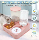 Automatic Cat Dog Pet Feeder Water Dispenser Set 2in1 Gravity Food Bowl Waterer 