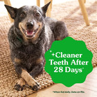 Greenies Teenie Size Original Flavor Adult Natural Dental Dog Treats  130 Count