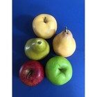 Realistic Artificial Set Decorative Faux Fake Fruit High Quality Home Decor B 