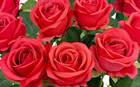 12pcs Fake Red Roses Artificial Red Flowers Bulk  Silk Faux Roses With