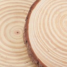 Wooden Garden Stepping Stone Lawn Wood Paver Stepping Stepping Log