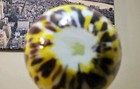 Egermann Yellow And Plum Speckled Art Glass Egg - Vintage  czech Republic 