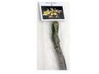 2 Live Hawaiian Yellow Plumeria Plant Cuttings 10  Easy To Root And Grow