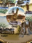 Vintage Cedar Point Amusement Park W giraffe Souvenir Porcelain Tea Cup   Saucer