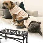 Elevated Raised Double Bowl Dog Cat Feeder Stainless Steel Food Water Pet Dishes