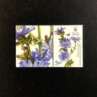 Ukraine 2017  Set Of Stamps  medicinal And Honey-bearing Plants   
