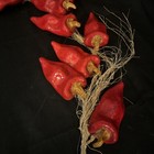 Decorative Hanging Red Peppers  Paper Mache  10 Peppers On Straw Rope Stringer