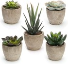 Artificial Succulent Plants Potted  Assorted Decorative Faux Succulent Potted   
