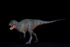 Pnso 62 Sinraptor Xinchuan Model Sinraptoridae Dinosaur Prehistoric Animal Gift