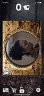 Topps Walking Dead Card Trader  Wooden Collection Termites - Lot Of 3  digital 