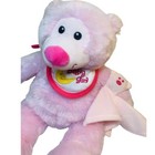 Pink Teddy Bear 14  Soft Plush Toy Baby Girl Moon Bib Lovey  Baby Shower Gift