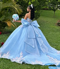 Light Blue Quinceanera Dress Big Bow Back Princess Ball Gown Sweet 16 Dresses