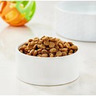 Special Kitty Gourmet Formula Seafood Blend Flavor Dry Cat Food  16 Lb Bag