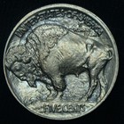 1913 5c Type 1 Buffalo Nickel Bu Gorgeous   26221