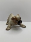 Hagen Renaker Dw English Bulldog Puppy Ceramic