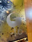 Godzilla Minus One  Premium Poster okaya Ver  A1  Gold Color Limited 1000