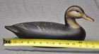 Ill  River Style Black Duck Hen Duck Decoy Orig  Paint Darkfeather Freedman Sign