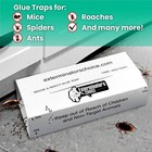 Large White Glue Sticky Traps - Easy Pest Control - 8 Traps