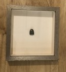 Authentic Pre-columbian Carved Jade Miniature Head Professionally Framed Rare