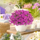  Artificial Fake Flowers Plants For Outdoor Spring Summer 12pcs Fuchsia