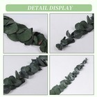 10pack Natural Dried Eucalyptus Bundle preserved Fresh Eucalyptus Branches7907