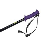 New  65 5th Element Stealth Ski Poles Skiing Black Purple Sizes 110 115 120cm