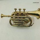 Vintage Brass Gold Finish Pocket Trumpet Decorative Gift
