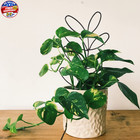 2pack Indoor Plant Trellis Metal Wire Garden Trellis    small Climbing Leaf Shape