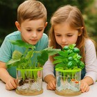 Versatile Plant Propagation Station Vase Hydroponic Planter Pot glass Plant T   