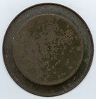 San Francisco  California Ca Buffalo Brewing Co  Famous Beer 4 1 4  Tip Tray