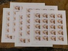100 Forever First Class Letter Stamps White Rose Stamps Mnh Book Pane Wedding 