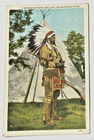 2 Lot Unused Postcards wisconsin Dell native Americans winnebago Brave  Boy